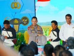 Cemara Institute Puji Kapolri atas Kontribusi Nyata Swasembada Jagung Capai 3,5 Juta Ton Sepanjang Tahun 2025