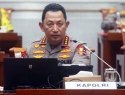 Cemara Institute & IMPACT Support Institusi Polri di Bawah Langsung Presiden sebagai Wujud Loyalitas pada Konstitusi dan Rakyat