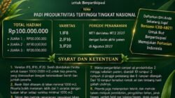 ICBB-AB2TI Resmi Buka Lomba Padi Produktivitas Tertinggi 2027, Total Hadiah Rp100 Juta