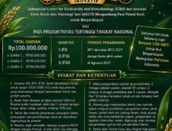 ICBB-AB2TI Resmi Buka Lomba Padi Produktivitas Tertinggi 2027, Total Hadiah Rp100 Juta